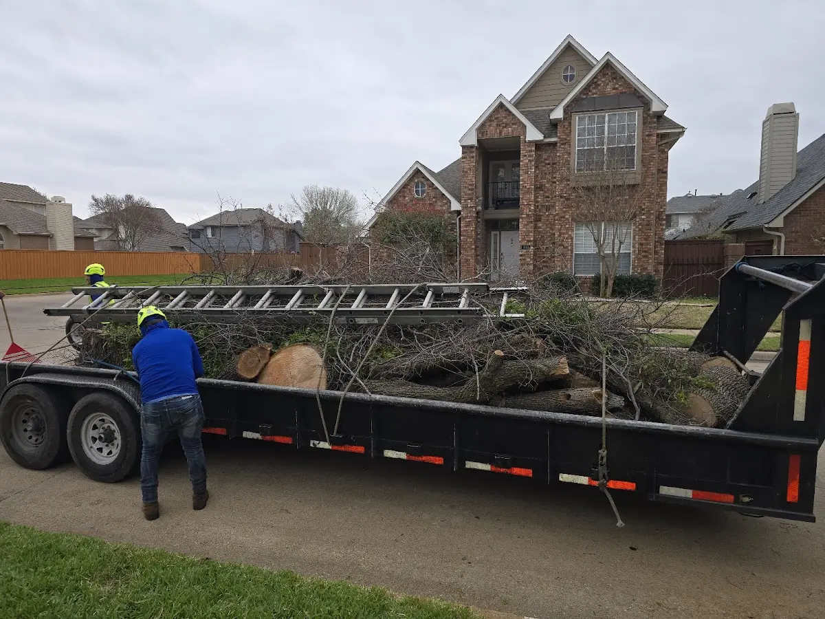 Expert Lot Clearing with proper safety equipment in Carman